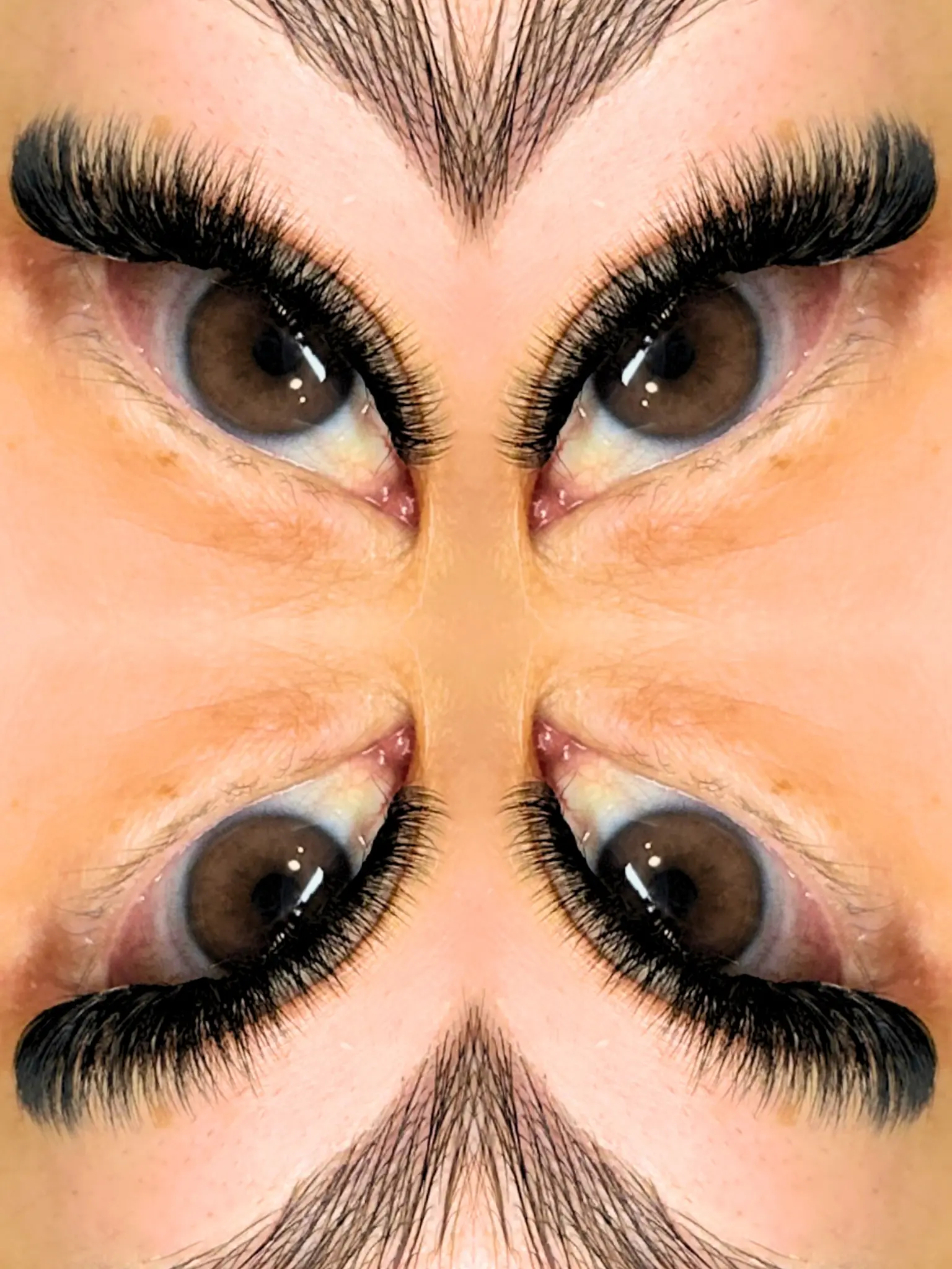 วอลลุ่มเซ็ต